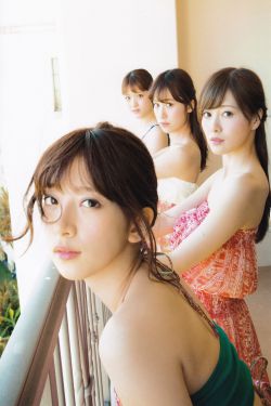 女特警2024电视剧